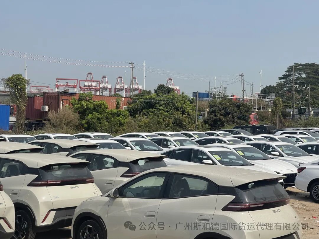 ஆப்பிரிக்காவிற்கு பாதுகாப்பான வாகன கடல் சரக்கு